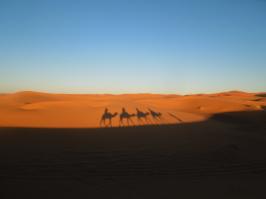 モロッコに行った写真をアップする