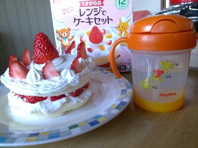 1歳の誕生日 簡単手作りケーキ 熊本 子連れ お出かけ おすすめ遊び場スポット