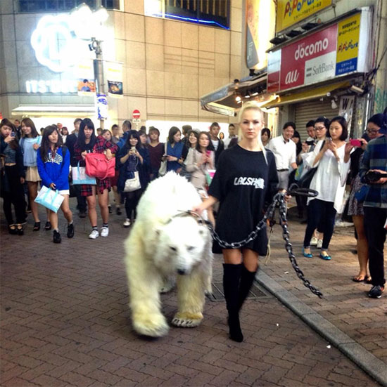 渋谷に白クマ