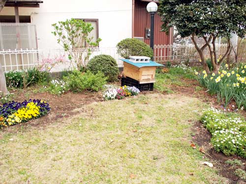 2012松香ミツバチの庭