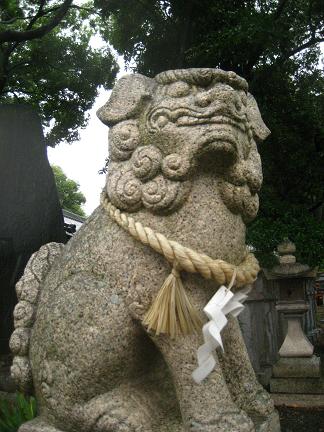 南近義神社の一の鳥居の左側の狛犬さん