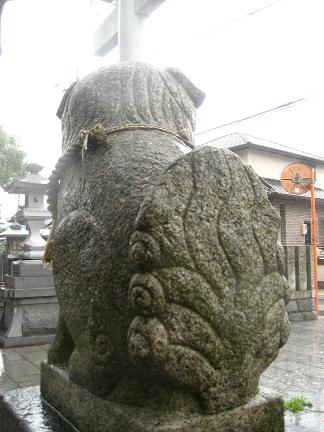 南近義神社の一の鳥居の左側の狛犬さんの背中