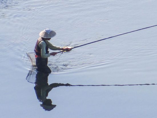 相模川の釣り人