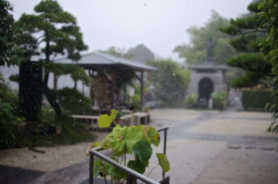 龍谷寺の豪雨