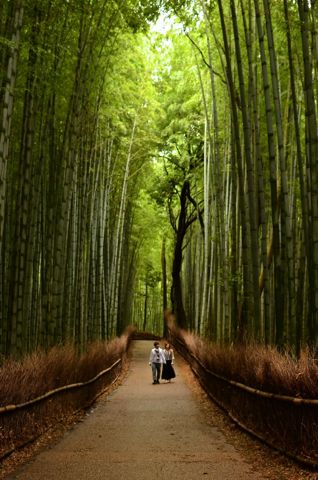 嵯峨野の竹林を歩く