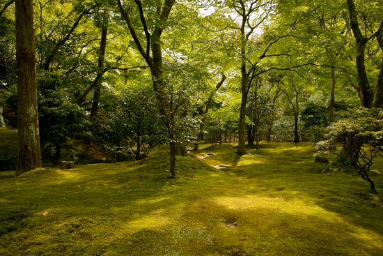 苔に覆われた銀閣寺の庭