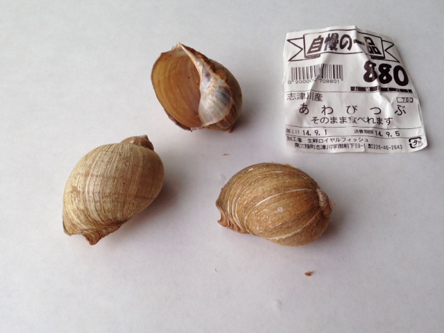 ㉕「モスソガイ」さんさん商店街で購入。つぶ(螺)とは特定の種ではなく「貝」を意味すると山本学芸員から教えられた