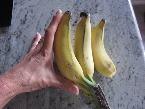 Banana 2012 c