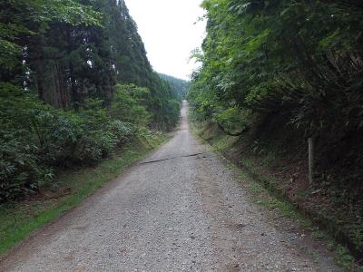 瀞川氷ノ山林道mtbツーリング キャンプ 第一部 山チャリ ｍｔｂ日記 のブログ