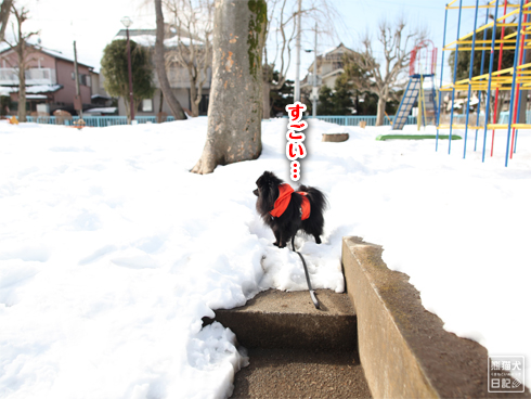 20140212_大雪散歩4