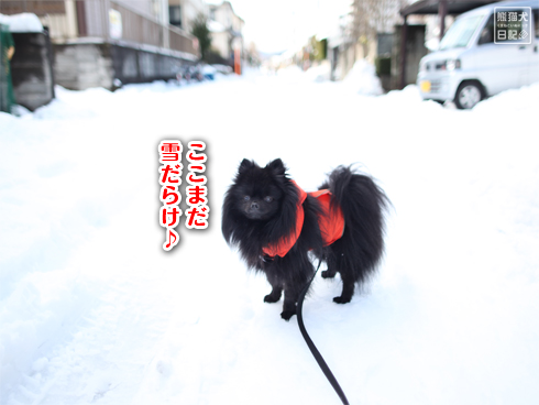 20140212_大雪散歩3