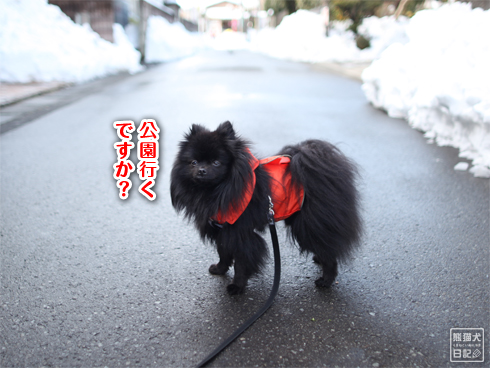 20140212_大雪散歩2