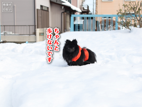 20140212_大雪散歩10