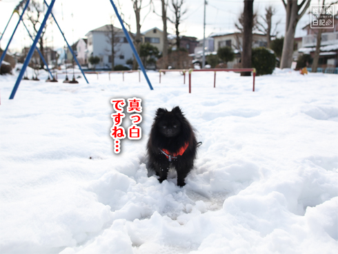 20140212_大雪散歩7