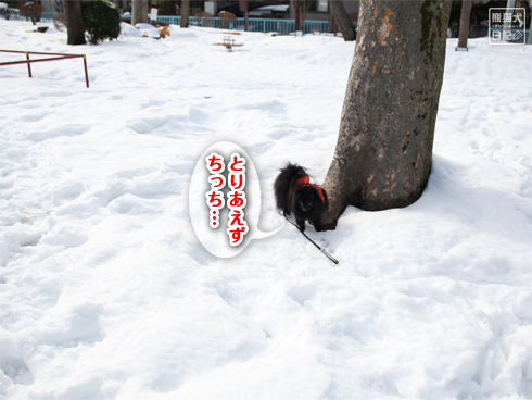 20140212_大雪散歩6