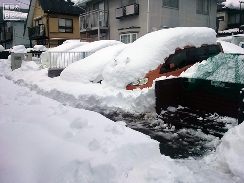 20140216_大雪被害5