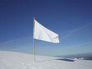 320px-White_Flag.jpg