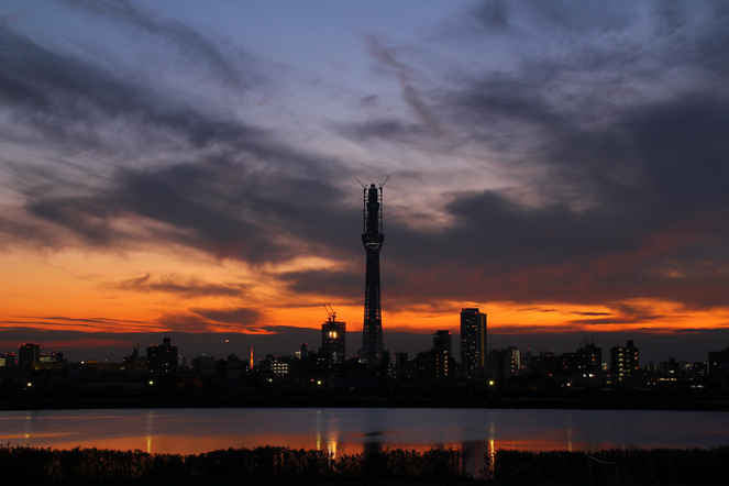 スカイツリーと東京タワー　2010.11.24