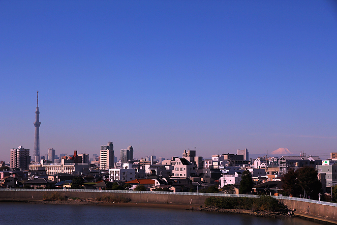 ダイヤモンド富士(青戸橋) 2012.11.10 1
