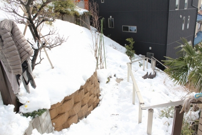 大雪後の裏庭