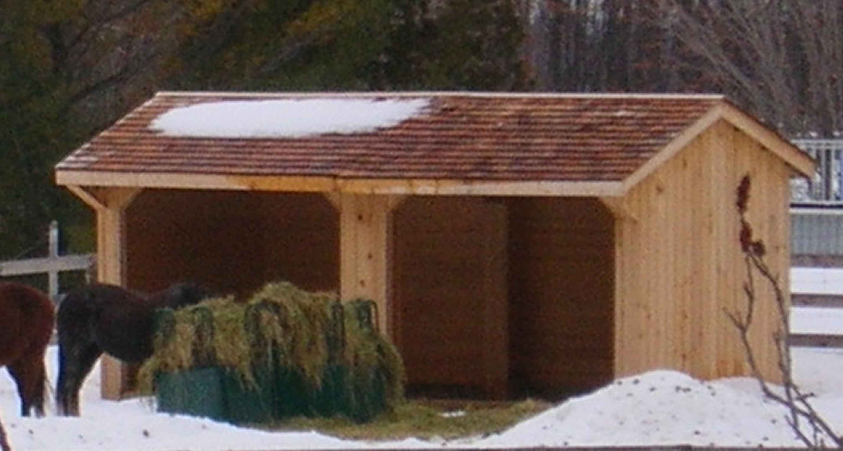 Free Run In Shed Plans Horse run in shed-plans to build a 