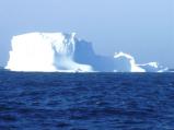 南極にすむ線虫復活