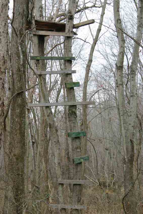 Wood Tree Stand Plans Easy-To-Follow How To build a DIY 