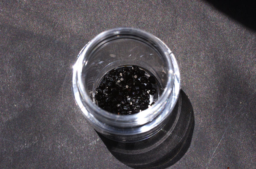 黒刺花王丸の種2blog